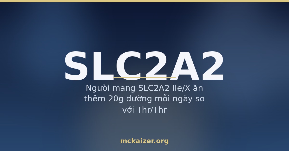 Thumbnail gen SLC2A2 GLUT2 mckaizer.org