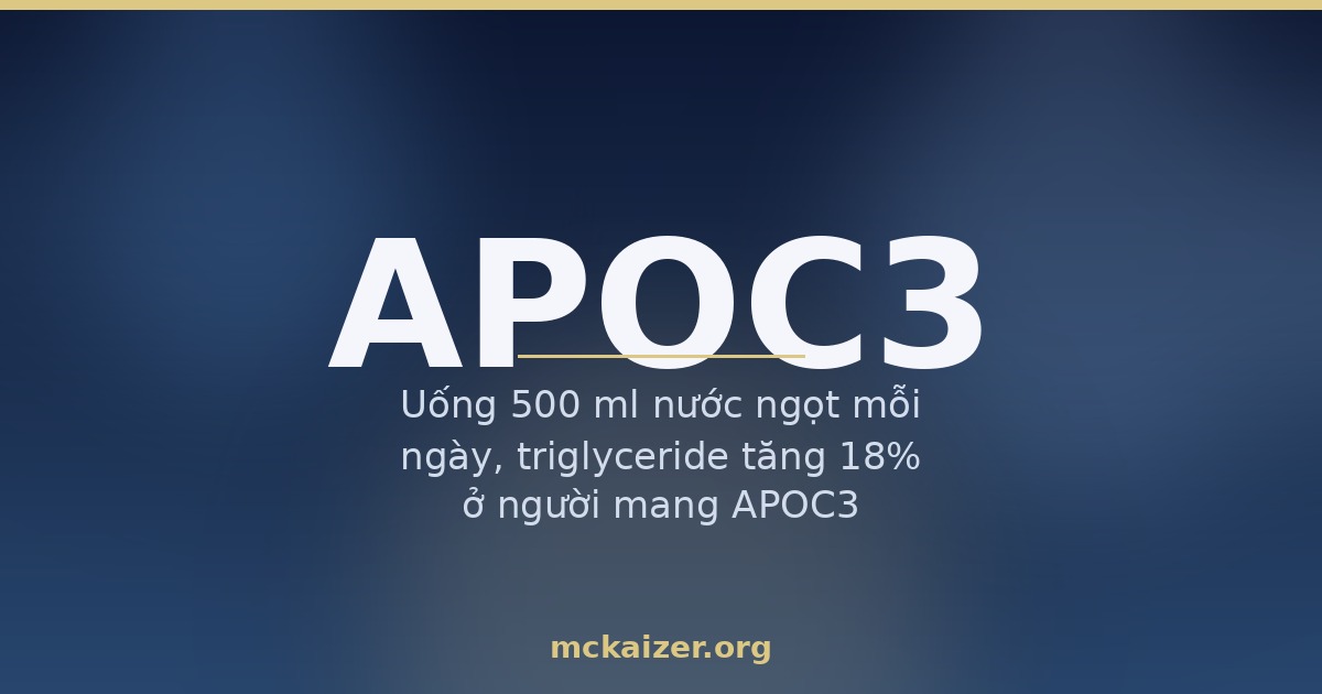 Hình minh hoạ bài viết về gen APOC3, fructose và triglyceride cho người Việt