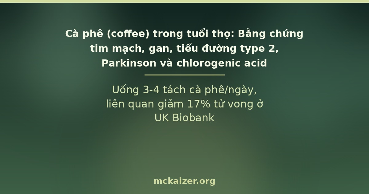 Uống 3-4 tách cà phê/ngày, liên quan giảm 17% tử vong ở UK Biobank