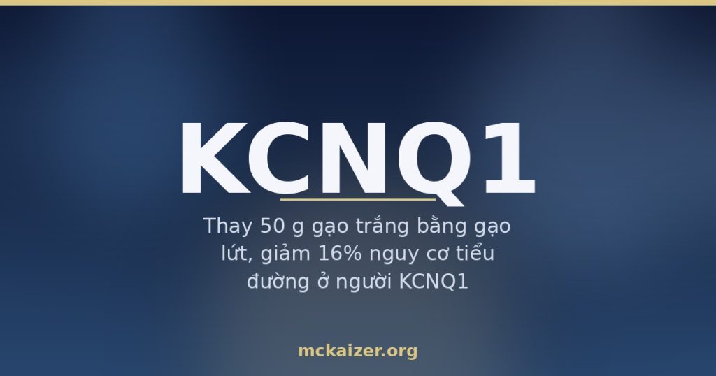 Gen KCNQ1, kênh kali, cơm trắng và tiểu đường type 2 ở người Việt