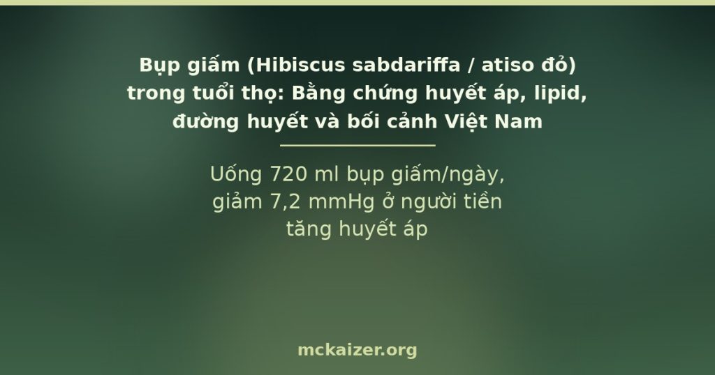 Uống 720 ml bụp giấm/ngày, giảm 7,2 mmHg ở người tiền tăng huyết áp