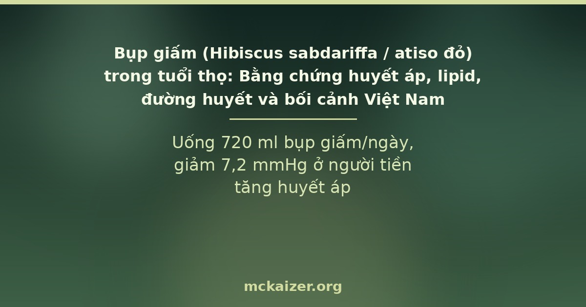 Uống 720 ml bụp giấm/ngày, giảm 7,2 mmHg ở người tiền tăng huyết áp