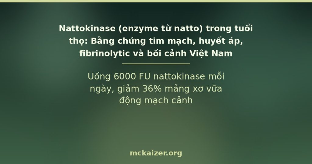 Nattokinase và tuổi thọ — bằng chứng tim mạch và huyết áp