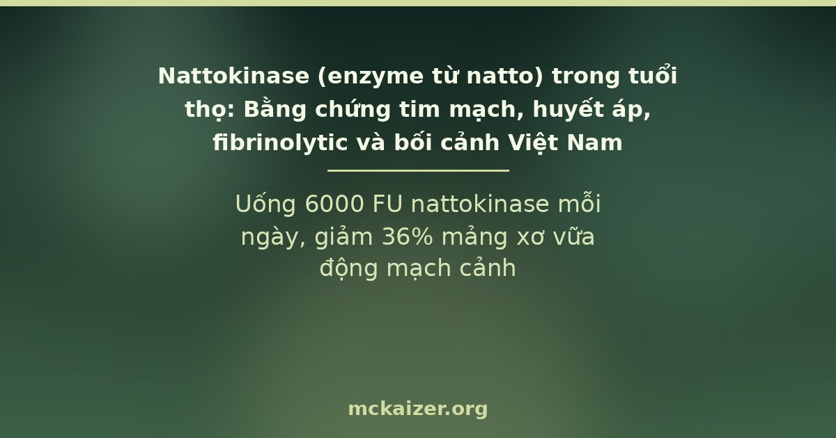 Nattokinase và tuổi thọ — bằng chứng tim mạch và huyết áp