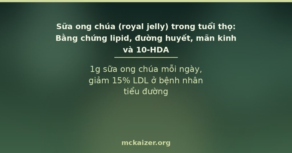 1g sữa ong chúa mỗi ngày, giảm 15% LDL ở bệnh nhân tiểu đường
