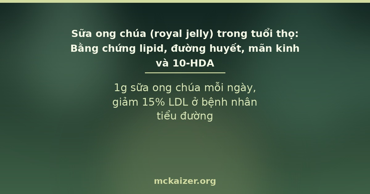 1g sữa ong chúa mỗi ngày, giảm 15% LDL ở bệnh nhân tiểu đường