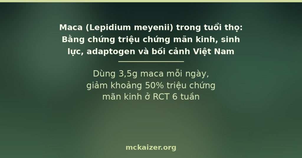 Maca (Lepidium meyenii) trong tuổi thọ: Bằng chứng triệu chứng mãn kinh, sinh lực, adaptogen và bối cảnh Việt Nam — thumbnail