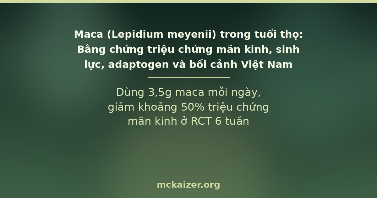 Maca (Lepidium meyenii) trong tuổi thọ: Bằng chứng triệu chứng mãn kinh, sinh lực, adaptogen và bối cảnh Việt Nam — thumbnail