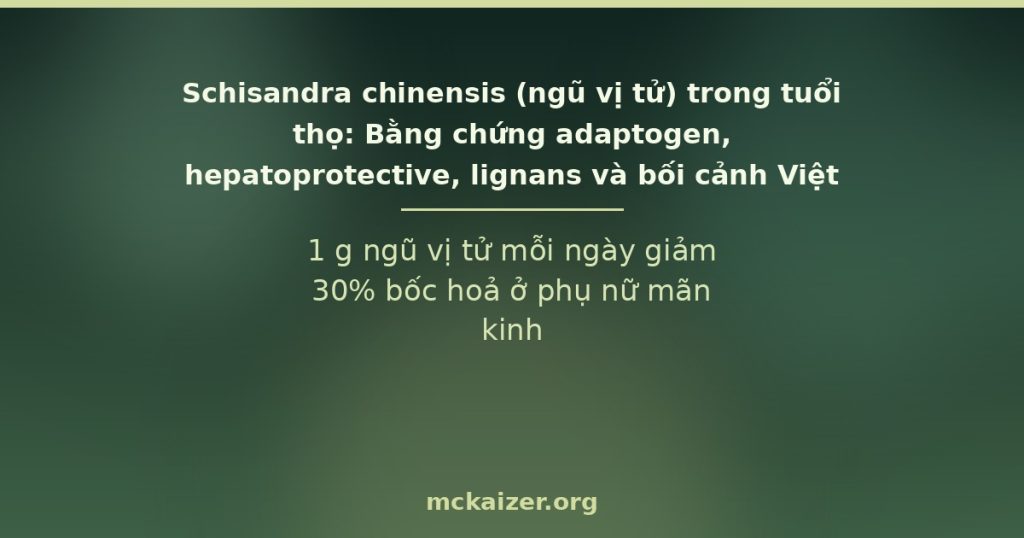 1 g ngũ vị tử mỗi ngày giảm 30% bốc hoả ở phụ nữ mãn kinh