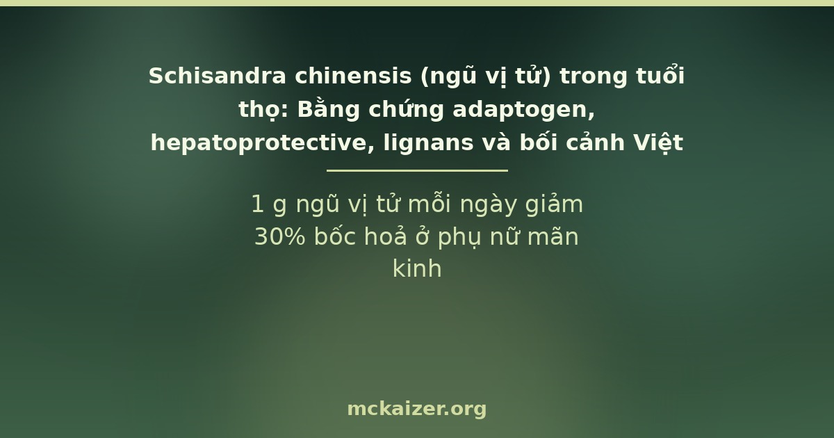 1 g ngũ vị tử mỗi ngày giảm 30% bốc hoả ở phụ nữ mãn kinh