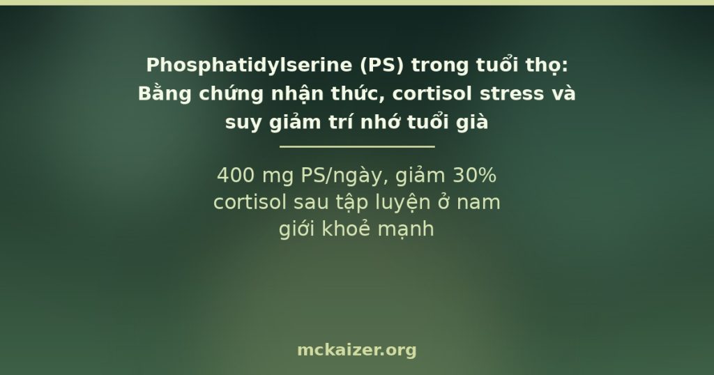 400 mg PS/ngày, giảm 30% cortisol sau tập luyện ở nam giới khoẻ mạnh
