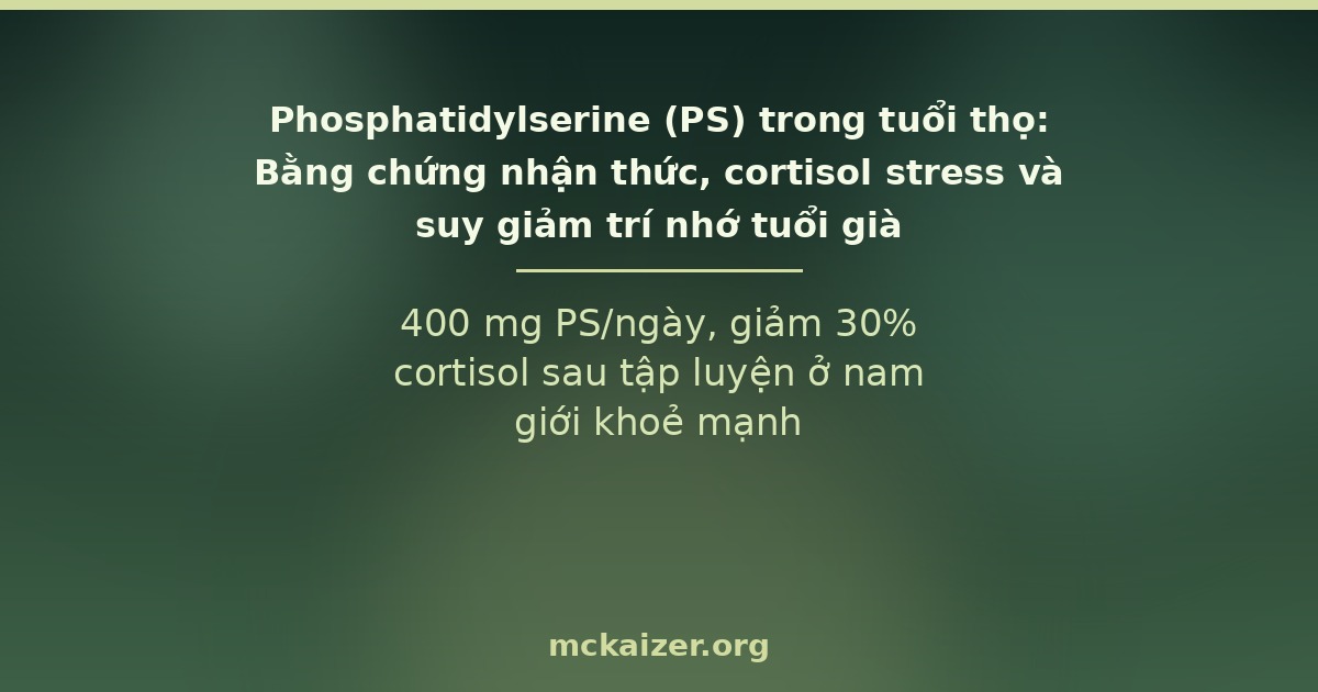400 mg PS/ngày, giảm 30% cortisol sau tập luyện ở nam giới khoẻ mạnh
