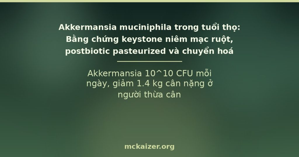 Akkermansia 10^10 CFU mỗi ngày, giảm 1.4 kg cân nặng ở người thừa cân