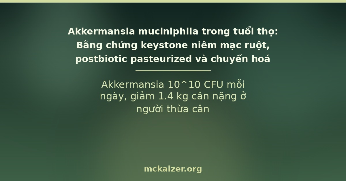 Akkermansia 10^10 CFU mỗi ngày, giảm 1.4 kg cân nặng ở người thừa cân