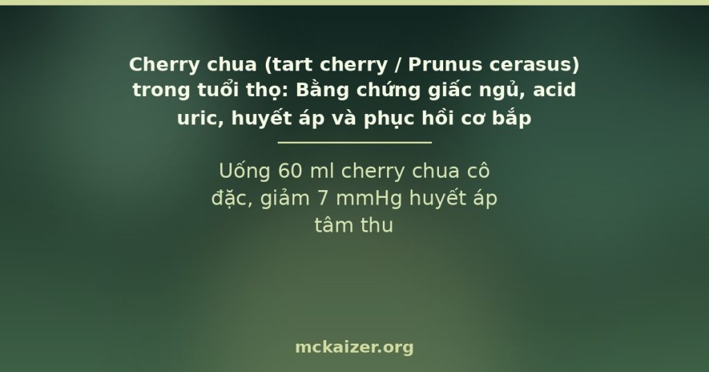 Cherry chua Montmorency và bằng chứng giấc ngủ, acid uric, huyết áp, phục hồi cơ bắp