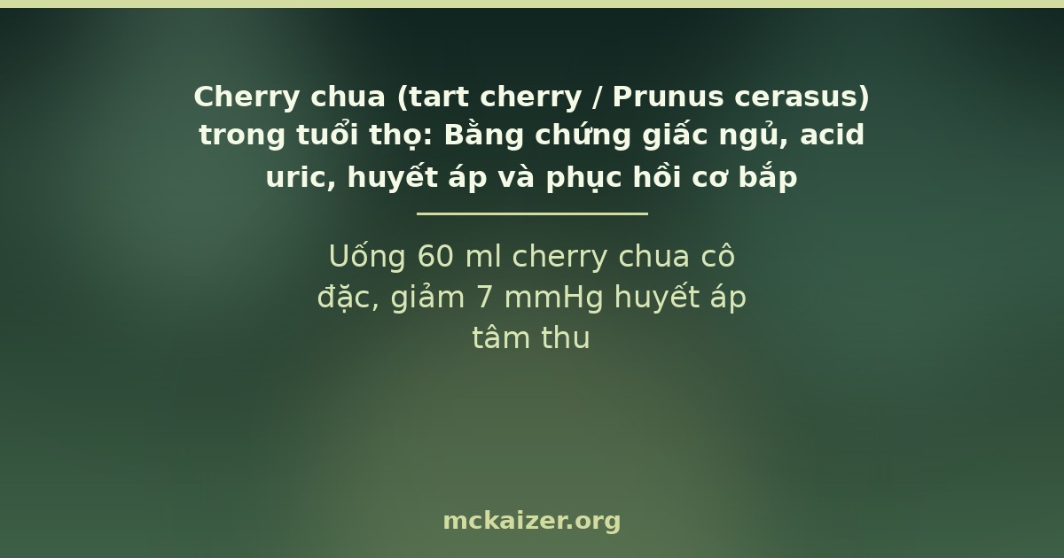 Cherry chua Montmorency và bằng chứng giấc ngủ, acid uric, huyết áp, phục hồi cơ bắp