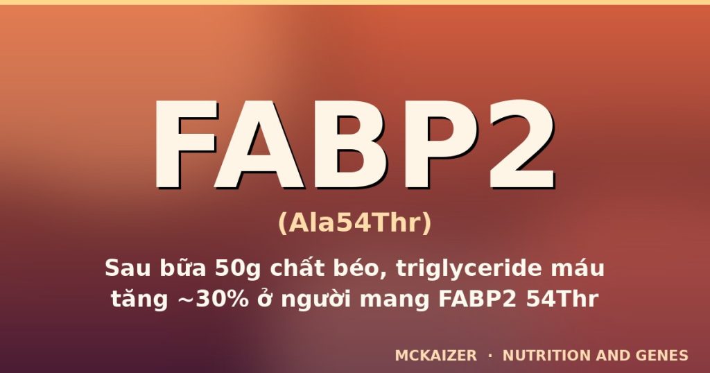 Gen FABP2 Ala54Thr, chất béo và mỡ máu — mckaizer.org