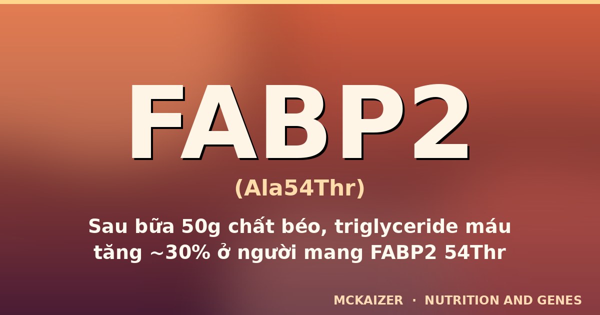 Gen FABP2 Ala54Thr, chất béo và mỡ máu — mckaizer.org