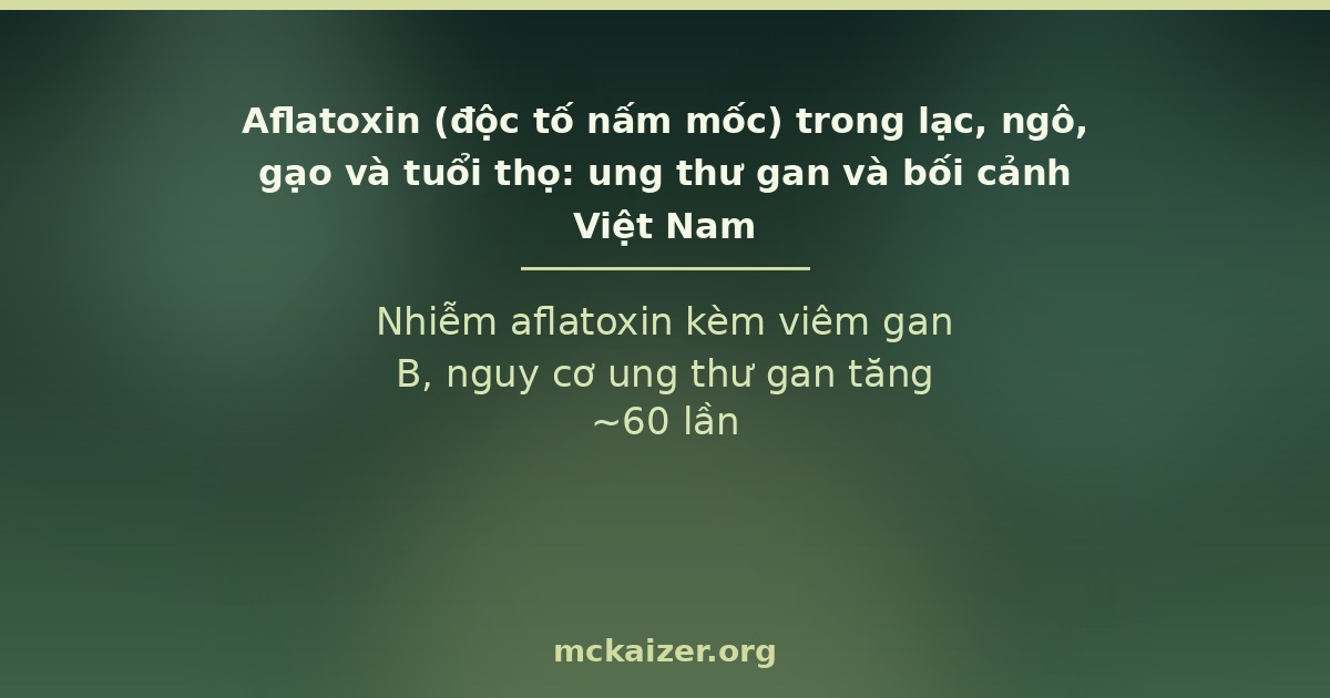 Nhiễm aflatoxin kèm viêm gan B, nguy cơ ung thư gan tăng ~60 lần