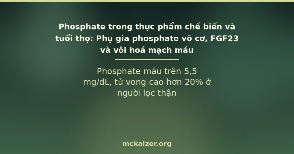 Phosphate máu trên 5,5 mg/dL, tử vong cao hơn 20% ở người lọc thận