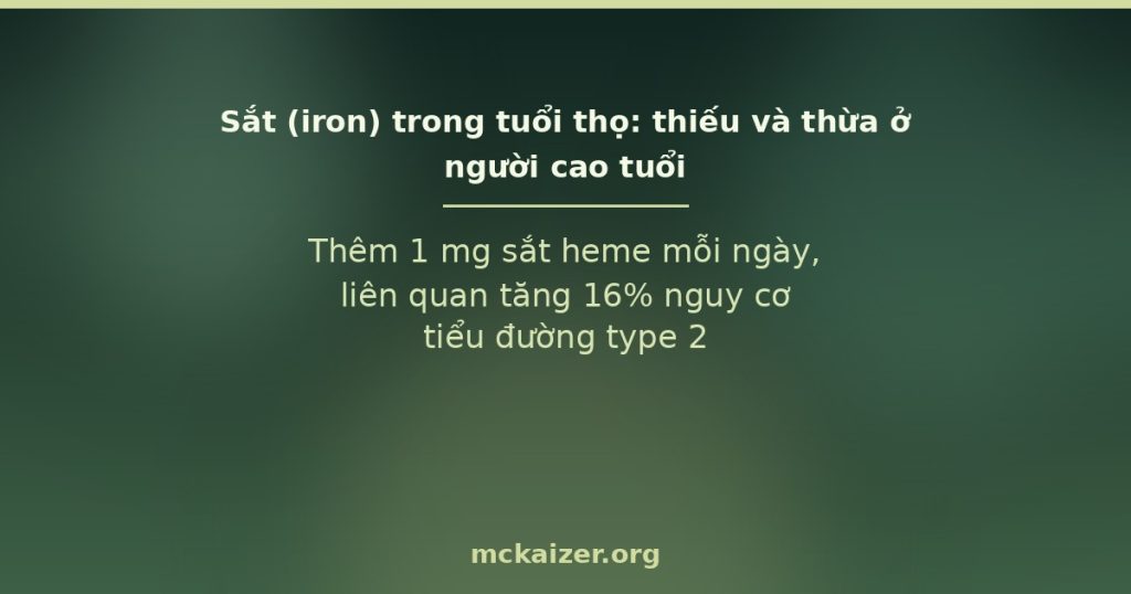 Sắt trong tuổi thọ: thiếu và thừa ở người cao tuổi — bằng chứng dinh dưỡng