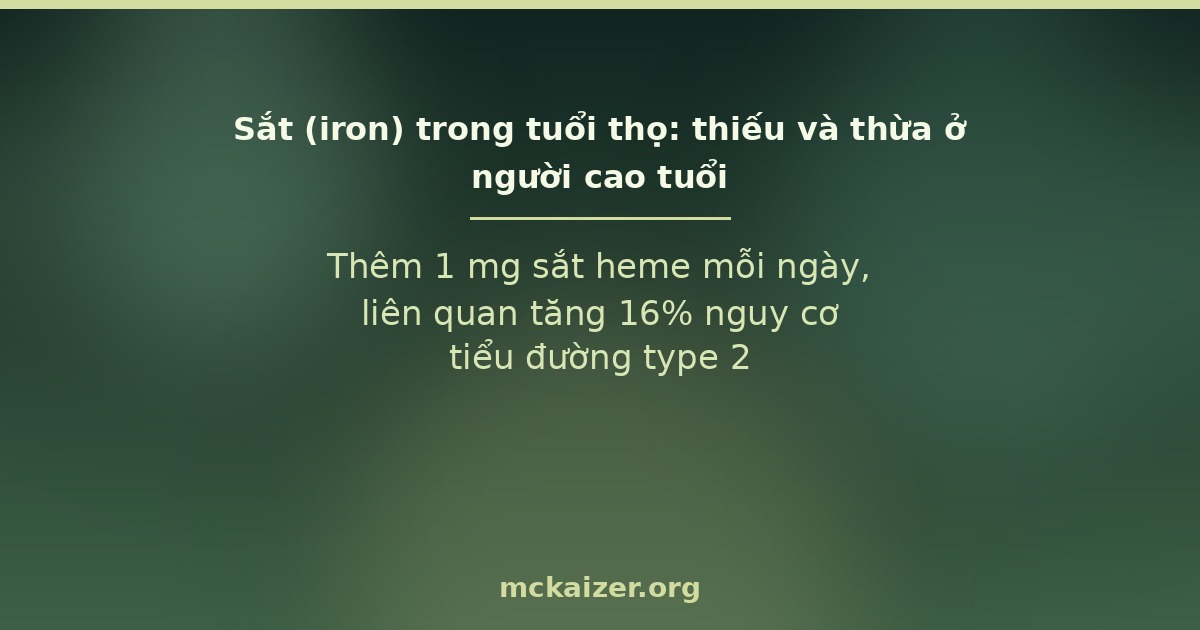 Sắt trong tuổi thọ: thiếu và thừa ở người cao tuổi — bằng chứng dinh dưỡng