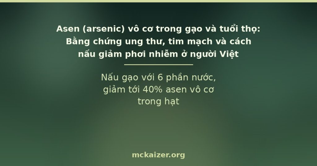 Nấu gạo với 6 phần nước, giảm tới 40% asen vô cơ trong hạt