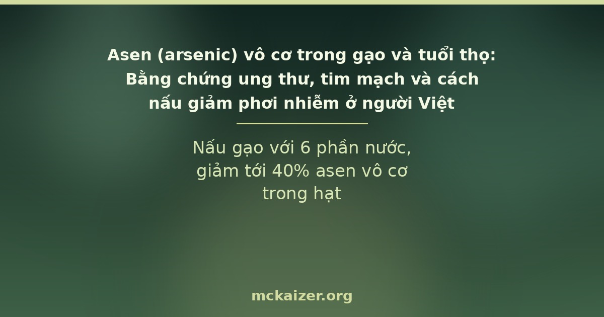 Nấu gạo với 6 phần nước, giảm tới 40% asen vô cơ trong hạt