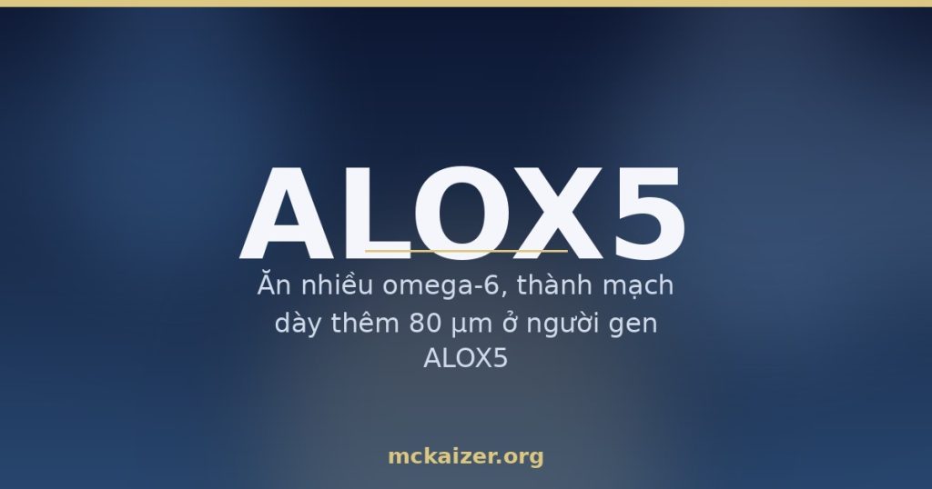 Gen ALOX5, dầu omega-6 và omega-3 cá biển với sức khoẻ mạch máu người Việt