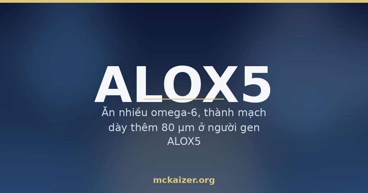 Gen ALOX5, dầu omega-6 và omega-3 cá biển với sức khoẻ mạch máu người Việt