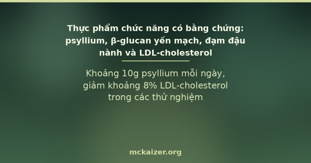 Psyllium, β-glucan yến mạch và đạm đậu nành — thực phẩm chức năng hạ LDL-cholesterol có bằng chứng