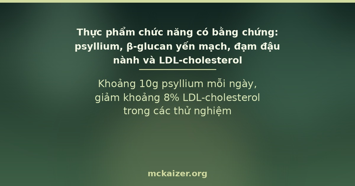 Psyllium, β-glucan yến mạch và đạm đậu nành — thực phẩm chức năng hạ LDL-cholesterol có bằng chứng