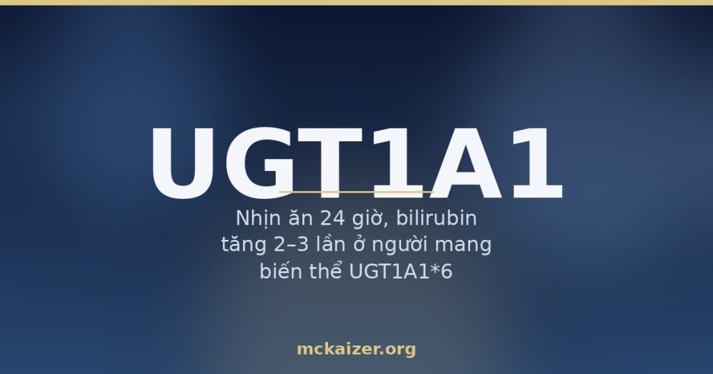 Gen UGT1A1, bilirubin và hội chứng Gilbert ở người Việt