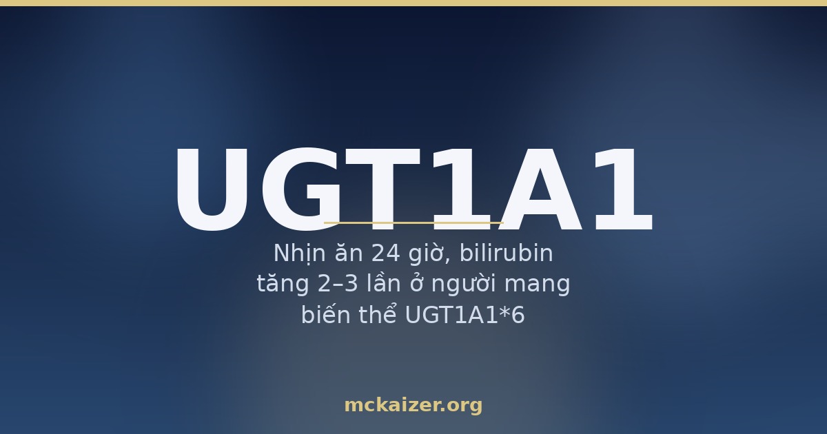 Gen UGT1A1, bilirubin và hội chứng Gilbert ở người Việt