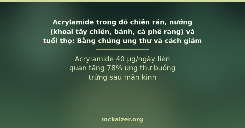 Acrylamide 40 µg/ngày liên quan tăng 78% ung thư buồng trứng sau mãn kinh