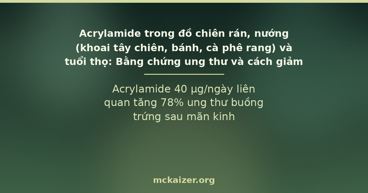 Acrylamide 40 µg/ngày liên quan tăng 78% ung thư buồng trứng sau mãn kinh