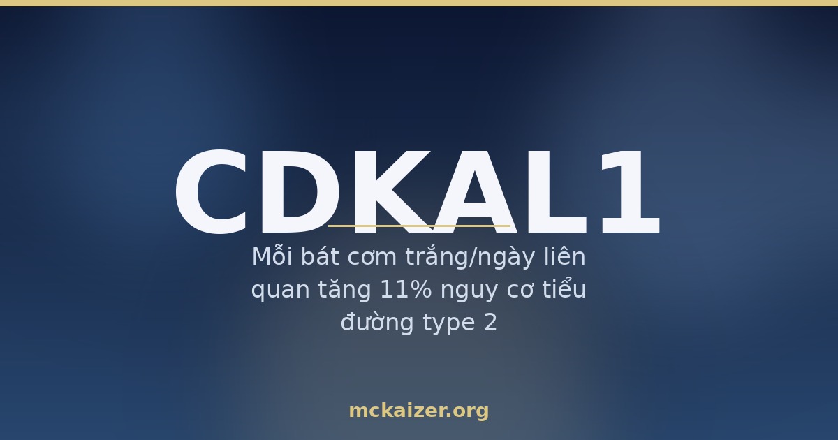 Gen CDKAL1, cơm trắng và tiết insulin ở người Việt