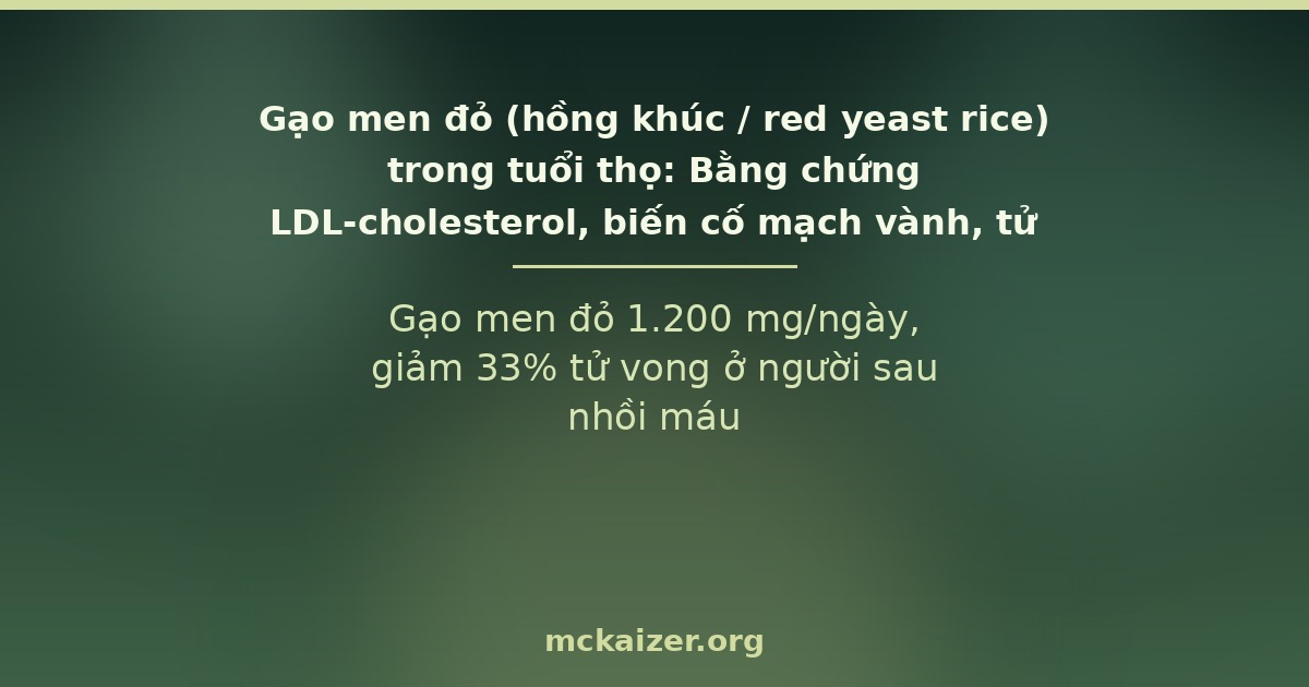 Gạo men đỏ 1.200 mg/ngày, giảm 33% tử vong ở người sau nhồi máu