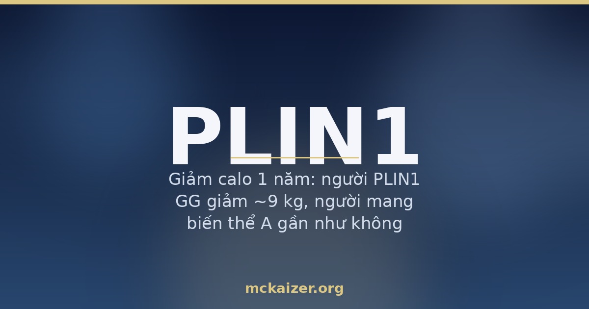 Gen PLIN1, perilipin-1, chất béo bão hoà và giảm cân