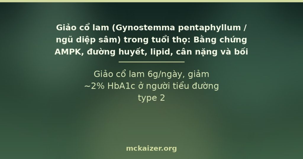 Giảo cổ lam 6g/ngày, giảm ~2% HbA1c ở người tiểu đường type 2.