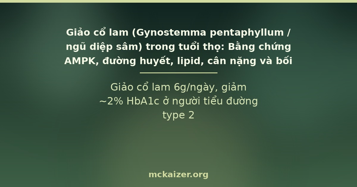 Giảo cổ lam 6g/ngày, giảm ~2% HbA1c ở người tiểu đường type 2.