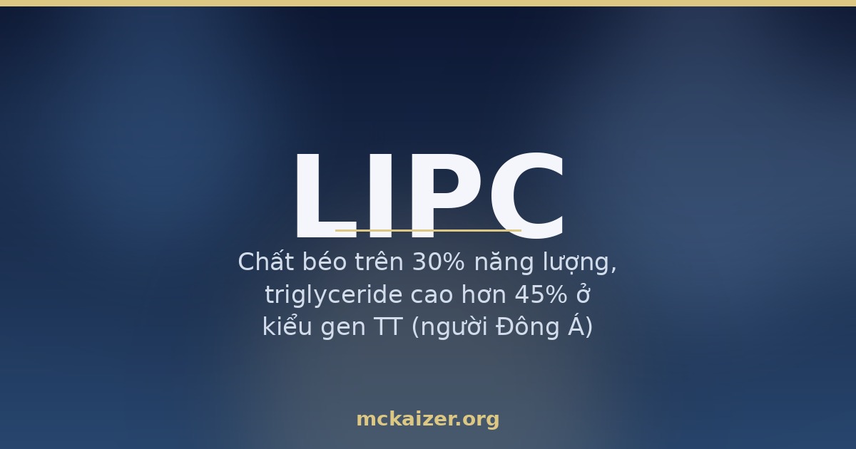 Gen LIPC, men lipase gan, chất béo và HDL cholesterol
