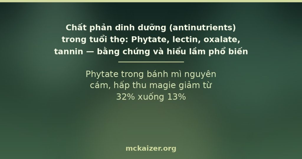 Chất phản dinh dưỡng phytate, lectin, oxalate, tannin trong thực phẩm thực vật và tuổi thọ
