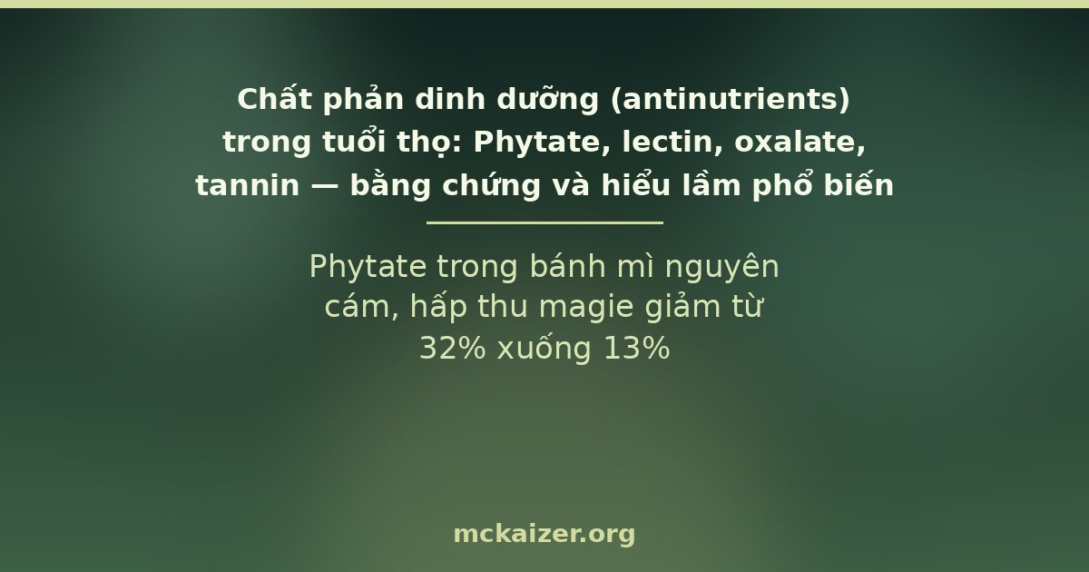 Chất phản dinh dưỡng phytate, lectin, oxalate, tannin trong thực phẩm thực vật và tuổi thọ