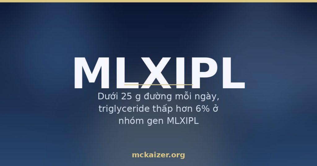 Minh hoạ gen MLXIPL ChREBP, đường và de novo lipogenesis ở người Việt