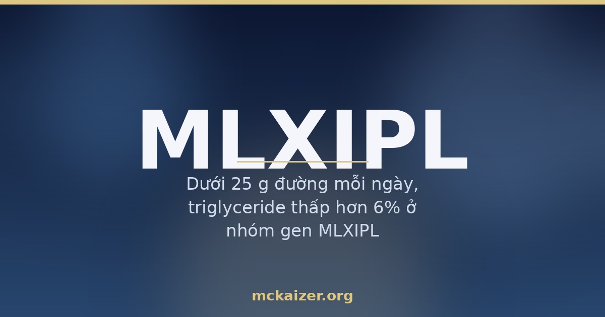 Minh hoạ gen MLXIPL ChREBP, đường và de novo lipogenesis ở người Việt