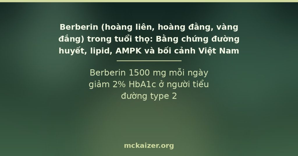 Berberin 1500 mg mỗi ngày giảm 2% HbA1c ở người tiểu đường type 2