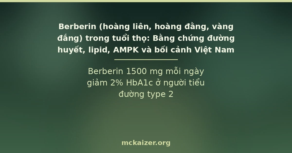 Berberin 1500 mg mỗi ngày giảm 2% HbA1c ở người tiểu đường type 2