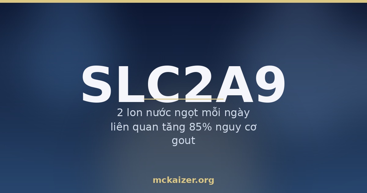 Gen SLC2A9 (GLUT9), acid uric và bệnh gout ở người Việt