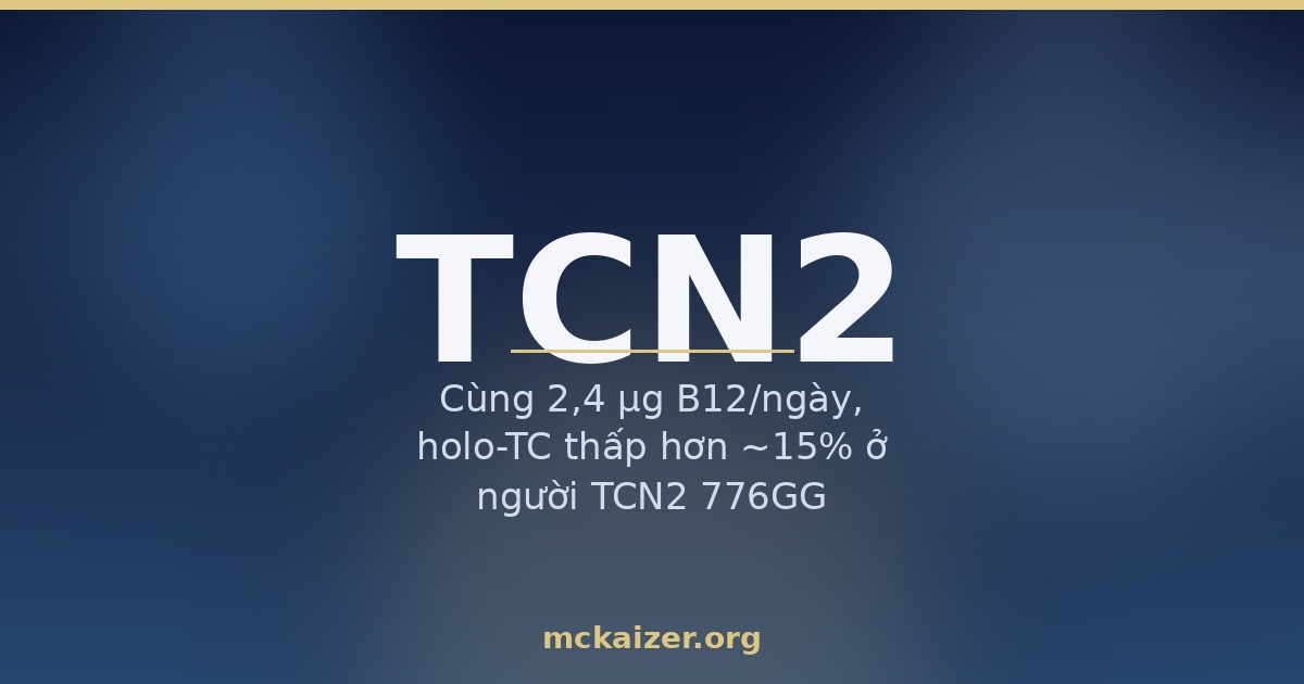 Minh hoạ gen TCN2 (transcobalamin), vitamin B12 và ăn chay ở người Việt